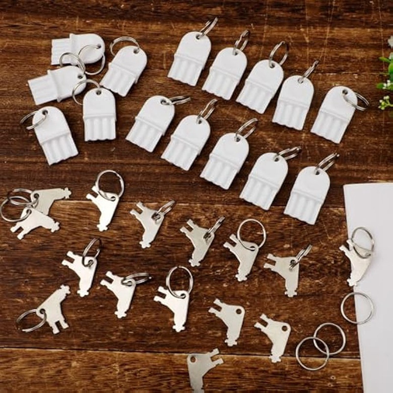 30pcs Hand Towel Dispenser Key - Toilet Paper Holder ulasan dan harga