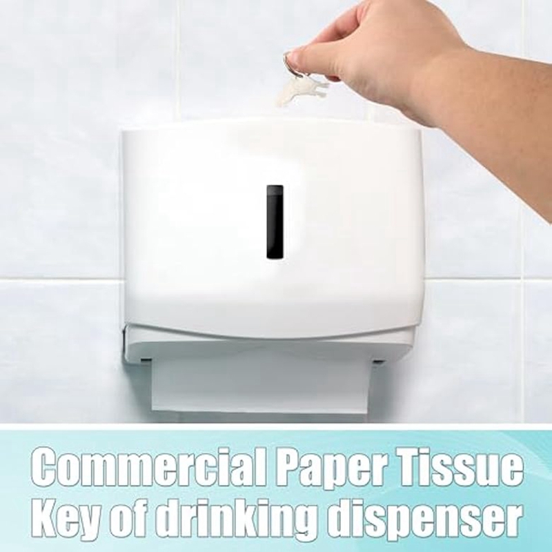 30pcs Hand Towel Dispenser Key - Toilet Paper Holder ulasan dan harga