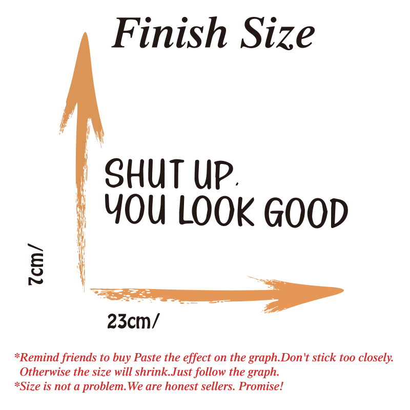 Sh*t UP You Look Good Quote Mi - Home Goods Bathroom Cabinets ulasan dan harga